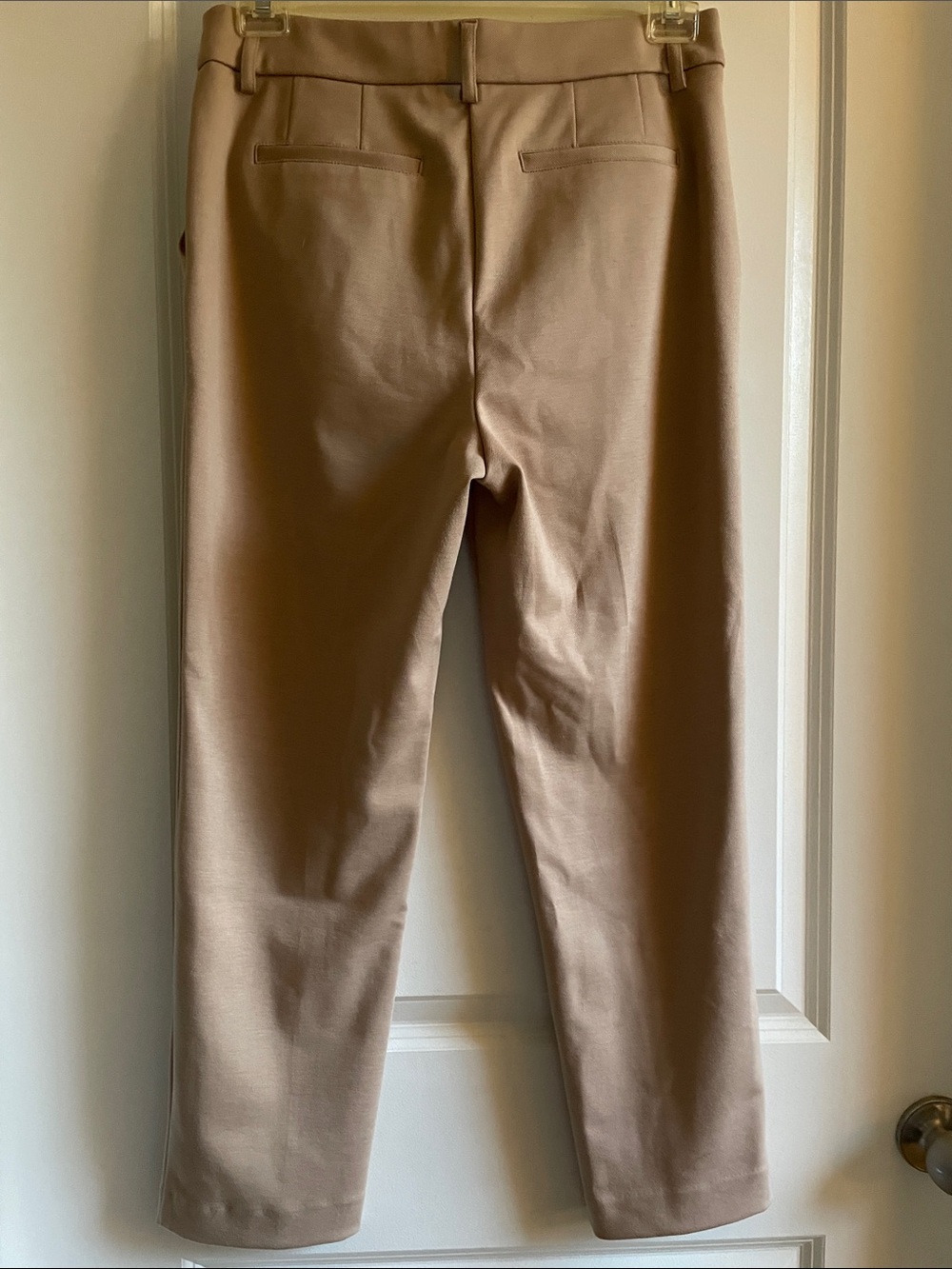 Simply Vera Vera Wang Beige tan Tailored pants ankle length stretch - Picture 10 of 14